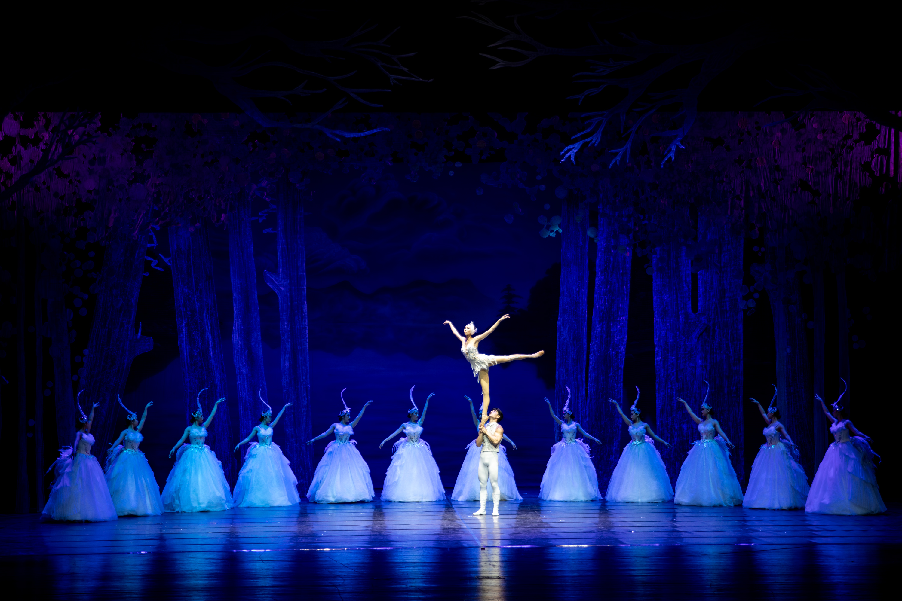 the Acrobat Ballet Swan Lake production image 1